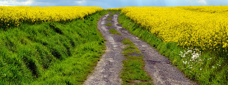 Erleben, Genießen und Wohlfühlen - Landhotel Thürmchen Erleben, Genießen und Wohlfühlen - Landhotel Thürmchen